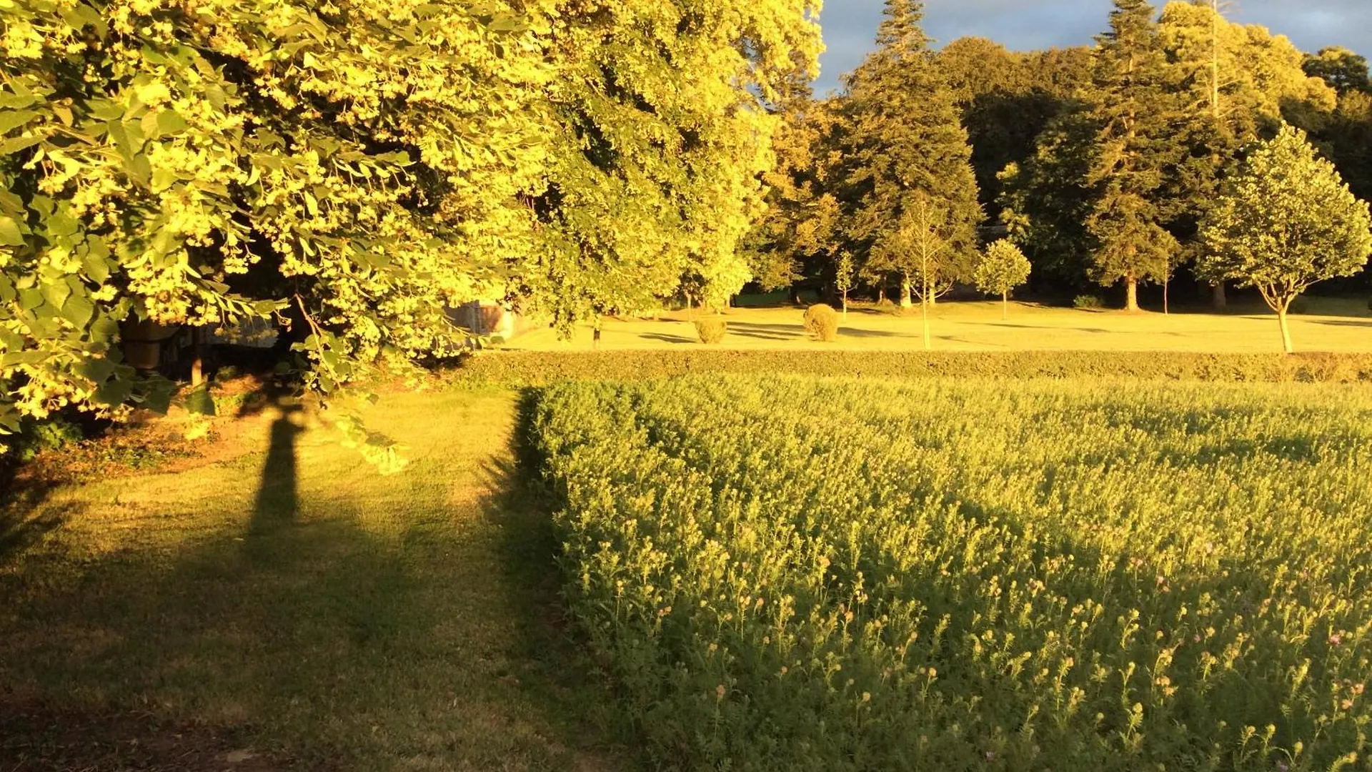 Domaine De La Motte-Basse Hotel Le Gouray 0*,  France