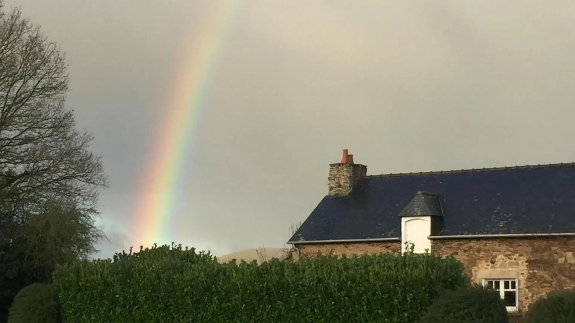 Domaine De La Motte-Basse Hotel Le Gouray Guest house